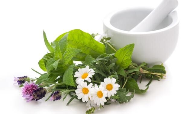 Geneeskrachtige planten vormen de basis van remedies voor externe effecten op het door artrose aangetaste kniegewricht